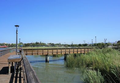 サンウォーキン デルタで釣ってみよう。　カリフォルニア　アンティオック