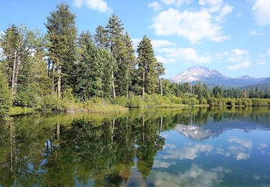 マンザニータレイクでフライフィッシング。ラッセン火山国立公園 その4 (Fly Fishing in Manzanita Lake Lassen Volcanic National Park)