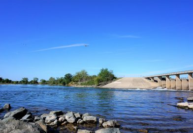 フェザーリバー(オロビル野生動物保護区)に釣りに行ってきたよ。Fishing on the Upper Feather River in Oroville Wildlife Area