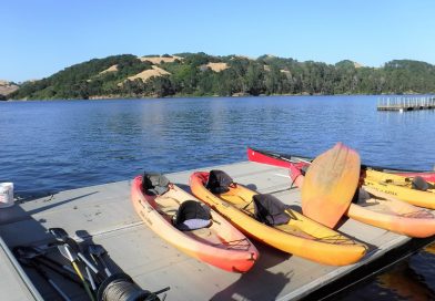 今回はタンデム(二人乗り)カヤックに挑戦！サンパブロリザバー in カリフォルニア Kayaking in San Pablo Riservoir California