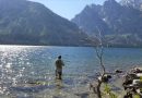 グランドティトン国立公園でフィッシング 1.ジェニーレイク編。Fishing in Jenny Lake, Grand Teton National Park