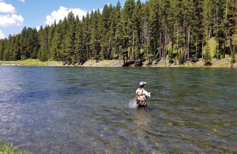 イエローストーン国立公園でフィッシング 1. イエローストーン川編 Fishing in Yellowstone River