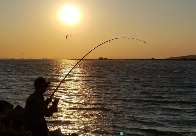 カリフォルニア・デルタでフィッシング。陸っぱりでチョウザメ Sturgeon は釣れるか？ Fishing in Delta, California