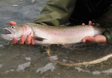 解禁！ラホンタン・カットスロート・トラウトを釣りに行こうin ピラミッド湖 (後編) Lahontan cutthroat trout fishing in Pyramid lake, Nevada