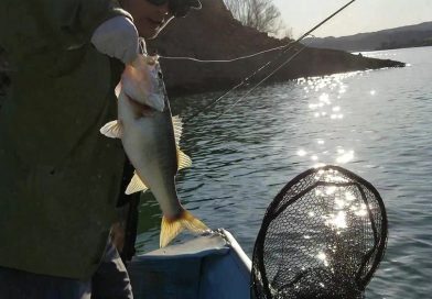 春のバスフィッシング！聖地キャスティークレイクでデカバス狙うよ！Castaic Lake in California