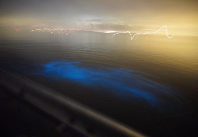 フロリダ・アウトドア編3. 神秘的！カヤックでバイオ・ルミネセンスを見てみよう! in Indian River, Florida