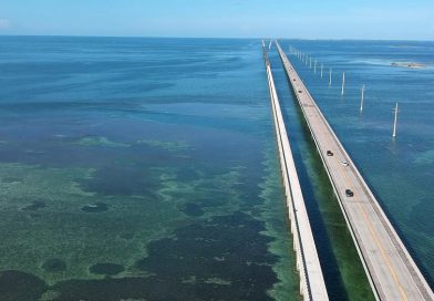 フロリダ釣行編2.  フロリダ キーズ セブンマイル ブリッジで フィッシング! Great Fishing Spot! Old Seven Mile Bridge in Florida Keys.