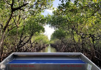 フロリダ・アウトドア編8. これがマングローブ！汽水域をエアーボートで探検！Airboat Rides at Everglades City