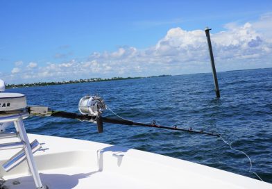 フロリダ釣行編6. 超絶！ゴライアス・グルーパー釣り Part 1！Goliath Grouper Fishing in Placida, Florida