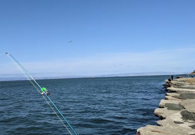久しぶりの釣り！初心に戻ってスメルト釣り！