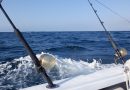 バハカリフォルニア釣行. カボサンルーカスでカジキを狙うよ！Part 1 – Marlin Fishing in Cabo San Lucas, Mexico