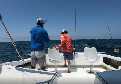 バハカリフォルニア釣行. カボサンルーカスでカジキを狙うよ！Part 2 – Marlin Fishing in Cabo San Lucas, Mexico